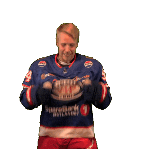 Goal Win Sticker by VIF Hockey