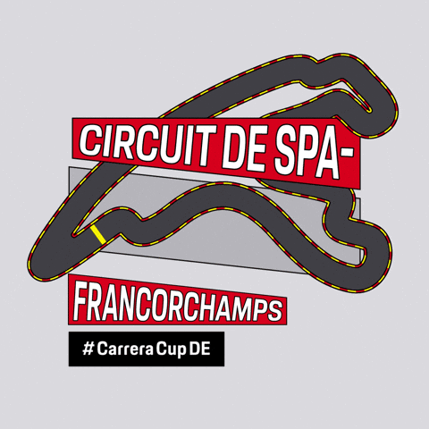 Spa-Francorchamps Racing GIF by Porsche Carrera Cup Deutschland