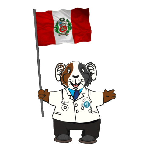 Happy Peru Sticker by Medical Audicion