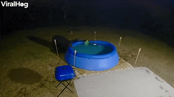 Bear Removes Pool Cover To Take A Late Night Swim GIF by ViralHog