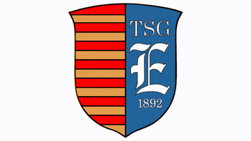 Tsg GIF by TSGEverode