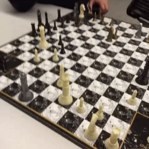 gordo chess GIF