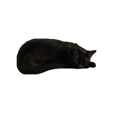 Sleepy Sticker by Rod Kim