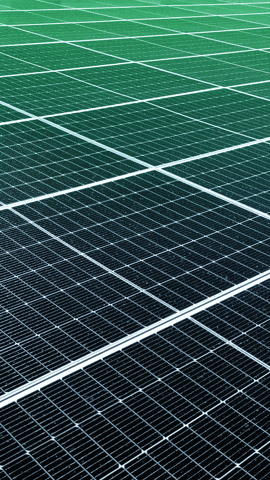 Solar Panels GIF by Option One Solar