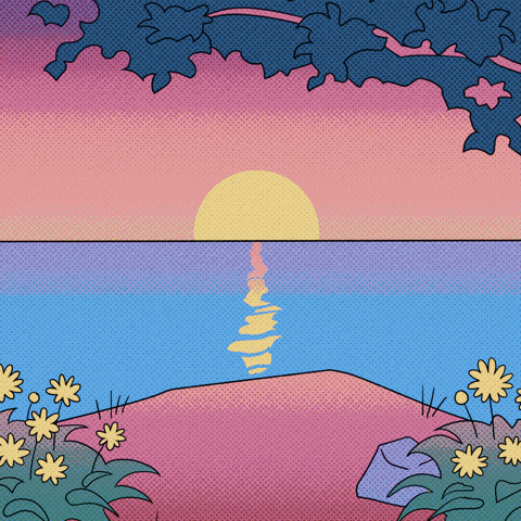 Vivla GIF