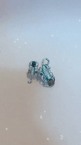 Reposeux GIF