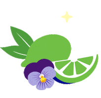 Drinks Wonder Sticker by drinkwildwonder