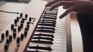 synth nord GIF
