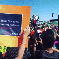 Anti-Gun Protesters Chant For Peace, Shut Down Chicago Expressway