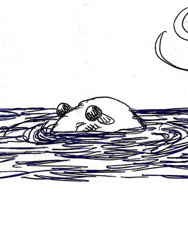 Shrimp Sketchbook GIF by Jimmy Arca