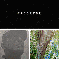 arnold schwarzenegger predator GIF
