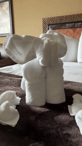 GIF by LivingLesh
