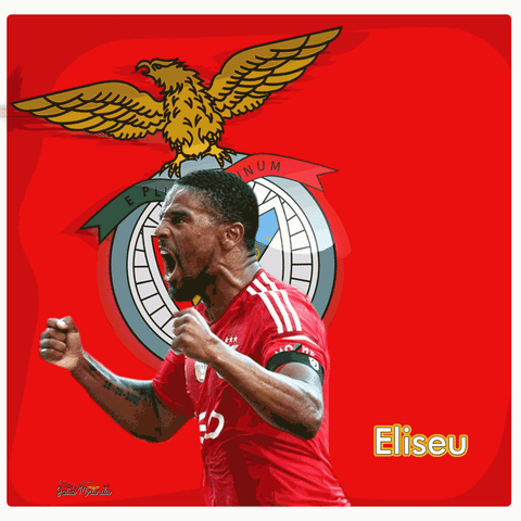 Benfica GIF