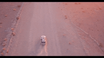 pharrellarot  GIF