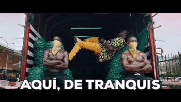 noelburgundy  GIF