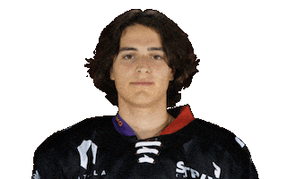 Daniel Badinka Sticker by Piráti Chomutov