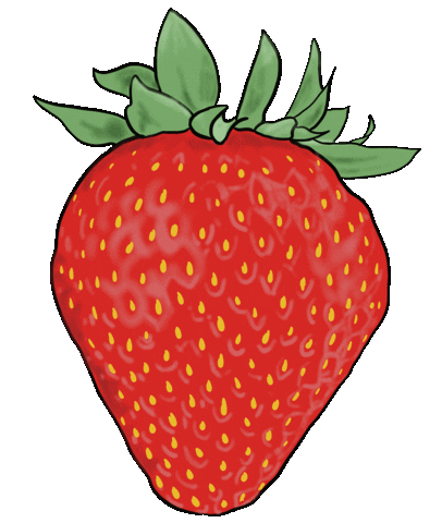 Animated Sticker