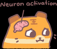 Excited Tiger GIF by KdeeStix