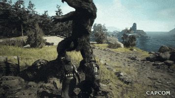 Video Game Fighter GIF by CAPCOM