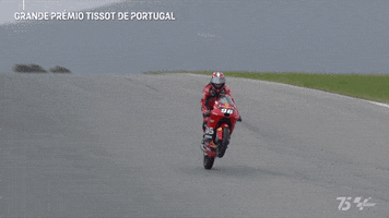 Happy Sport GIF by MotoGP™