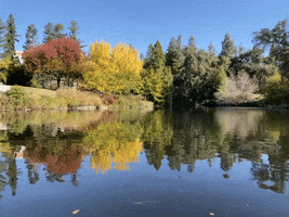 Fall Autumn GIF by UC Davis