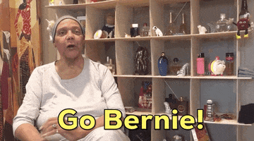 Bernie Sanders Endorsement GIF