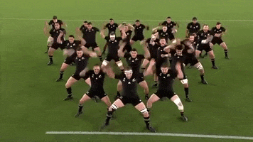 Read World Cup GIF by World Rugby