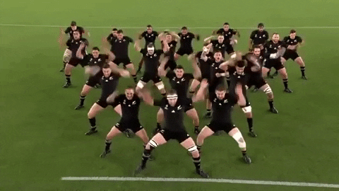 Read New Zealand GIF by Rugby World Cup - Find &amp; Share on GIPHY