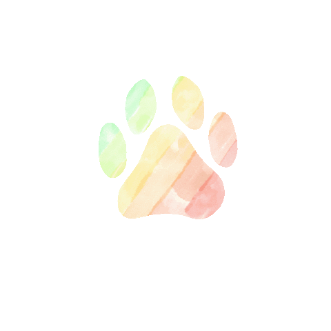 Rainbow Sticker