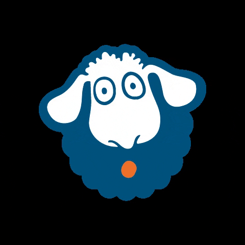 asuar_communication jump sheep pecora asuar GIF