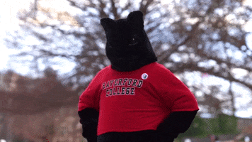 Mascot Reaction GIF by Haverford College
