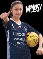Futbol Femenino Apoyo GIF by LincolnCollegeChile