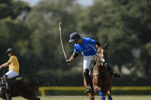 MaragataPolo GIF