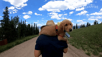 dog puppy GIF by Outside TV