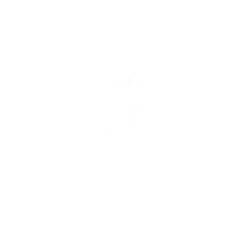 Kanji Sticker by Hikari Riders