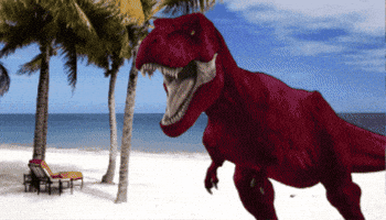 Surfs Up Explosion GIF