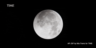lunar eclipse space GIF by TIME