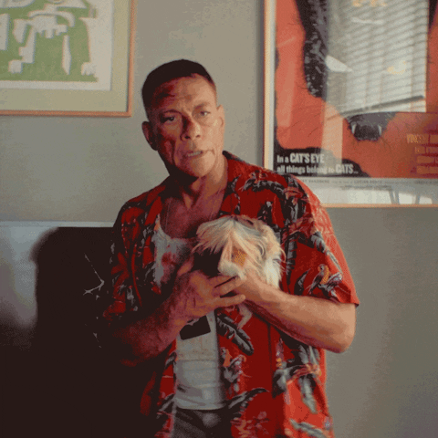 Orange Belgium GIF