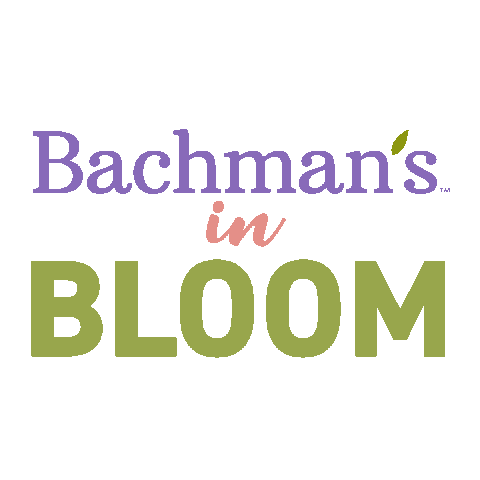 Flower Grow Sticker By Bachman'S Floral, Gif