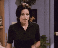 Monica-geller-i-know GIFs - Get the best GIF on GIPHY