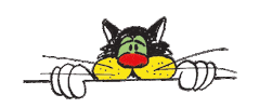 Kater Sticker by De Stöppelkaters