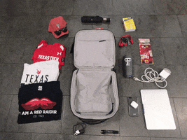 Texas Tech University GIF