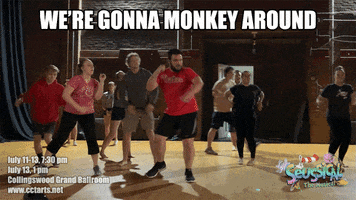Theatre GIF