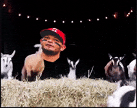 Yadi-molina GIFs - Get the best GIF on GIPHY