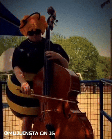 Bee Violin GIF