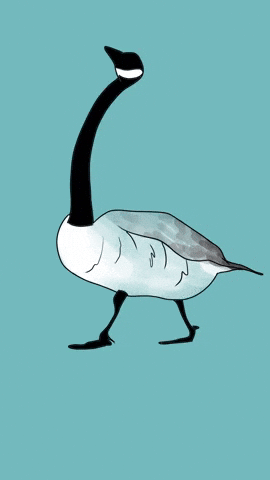 2D Animation GIF