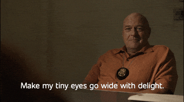 Hank Schrader Delight GIF by Better Call Saul