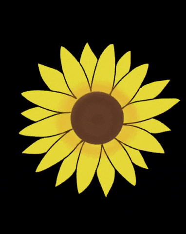 Flower Sun GIF