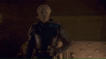 vulture game of thrones brienne game of thrones 802 brienne becomes a knight GIF