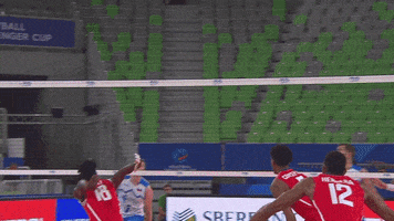 Power Point GIF by Volleyball World
